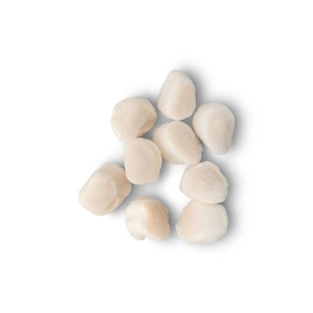 Jūras ķemmītes, gaļa, 20/30, sald., IQF, 1kg (t.s. 800g), Peru