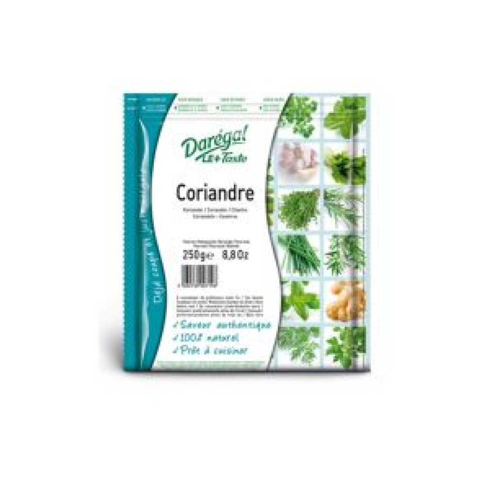 Kinza, sagr., sald., IQF, 250g, Daregal